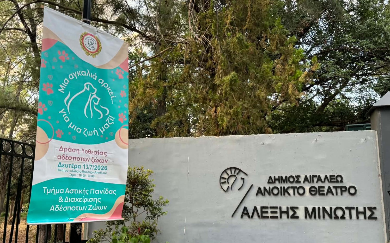 Με μεγάλη ανταπόκριση η δράση υιοθεσίας αδέσποτων ζώων στο πλαίσιο της Πολιτιστικής Διαδρομής 2026