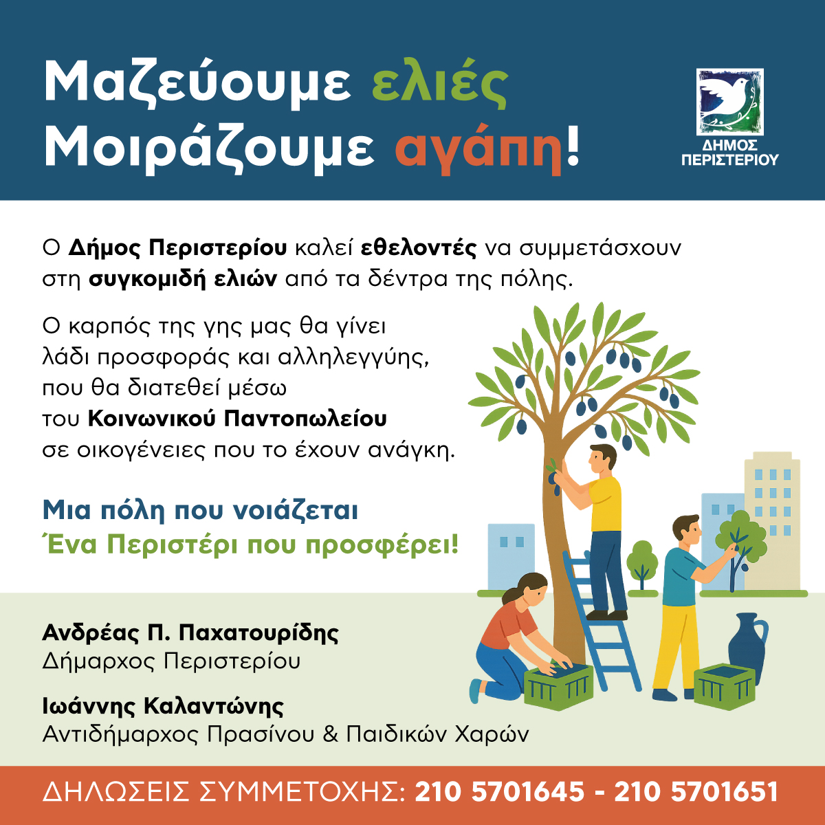 Κάλεσμα του Δήμου Περιστερίου σε εθελοντές για τη συγκομιδή ελιών