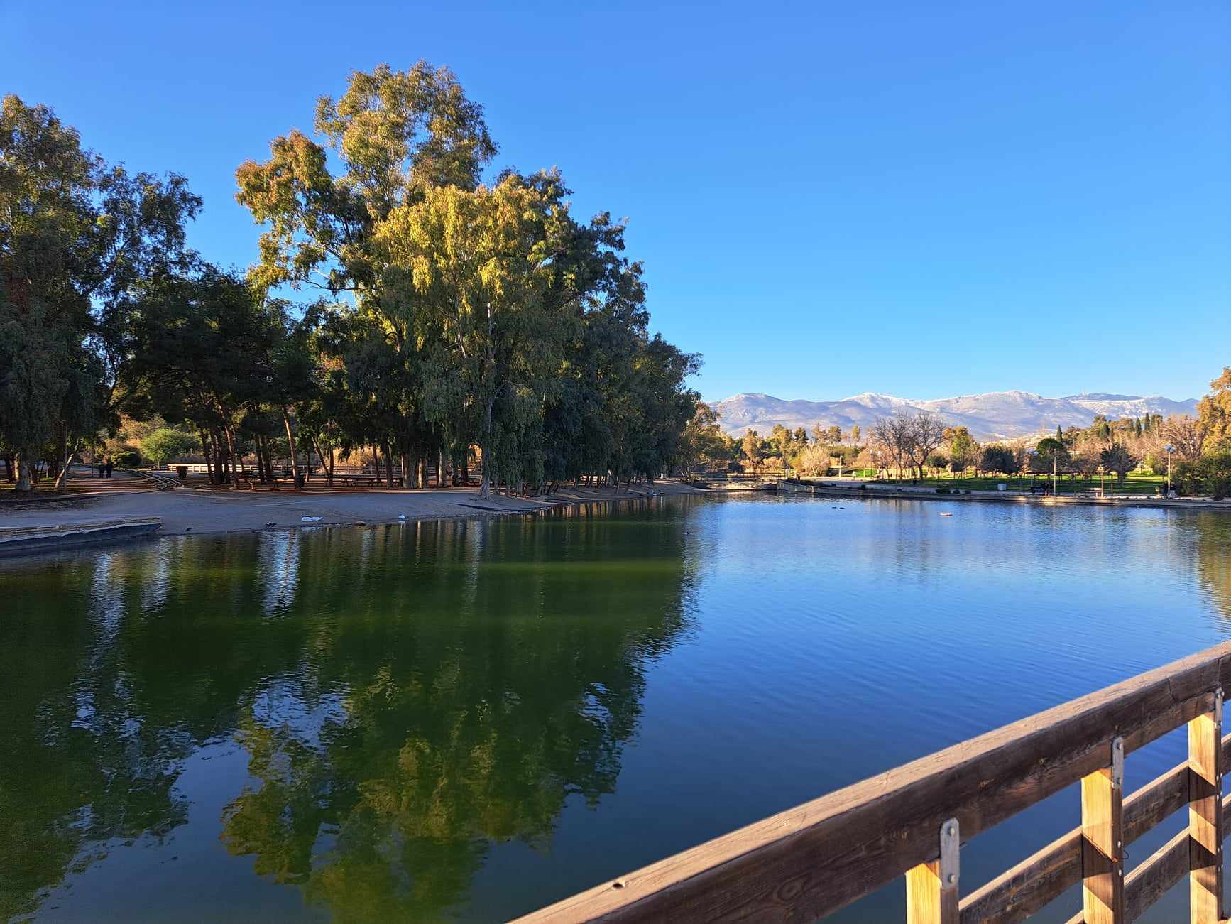 Αυτοψία στο Πάρκο Τρίτση- Μέσα από εικόνες, οι αλλαγές στο πάρκο