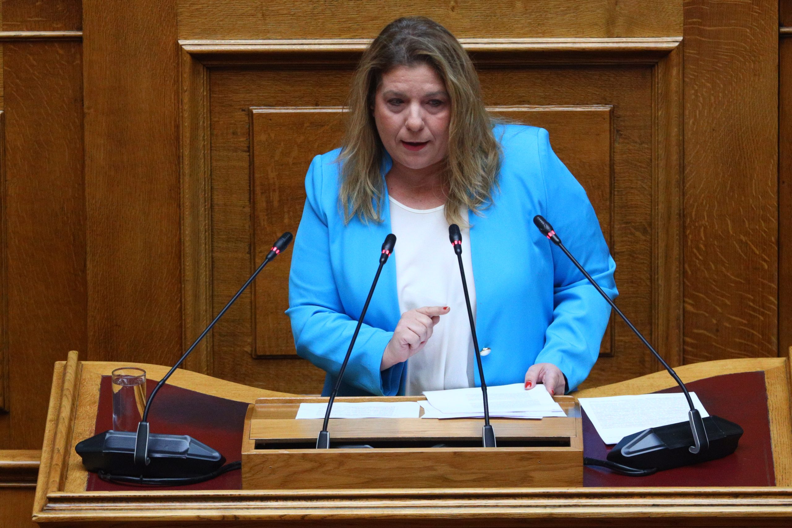 Μ. Συρεγγέλα στο Συμβούλιο της Ευρώπης: «Η ρητορική μίσους απειλή για τη Δημοκρατία», Βoυλευτής Β2 Δυτικού Τομέα Αθηνών  