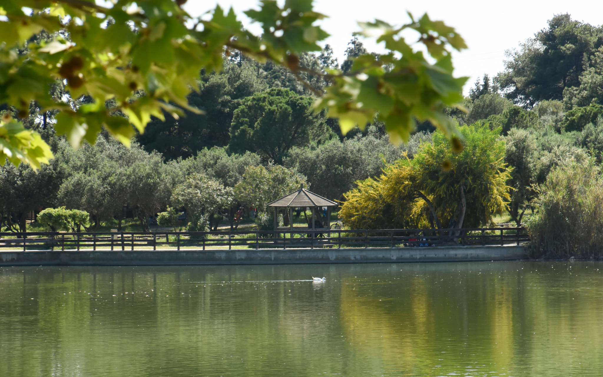 Eικαστική έκθεση «Το Τραγούδι της Γης» στο Πάρκο Τρίτση