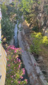  Πρόγραμμα  εφαρμογής ψεκασμών προνυμφοκτονίας στο  «Χαϊδαρόρεμα»