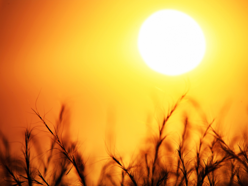  Το φετινό καλοκαίρι ήταν το τρίτο θερμότερο εδώ και 65 χρόνια 