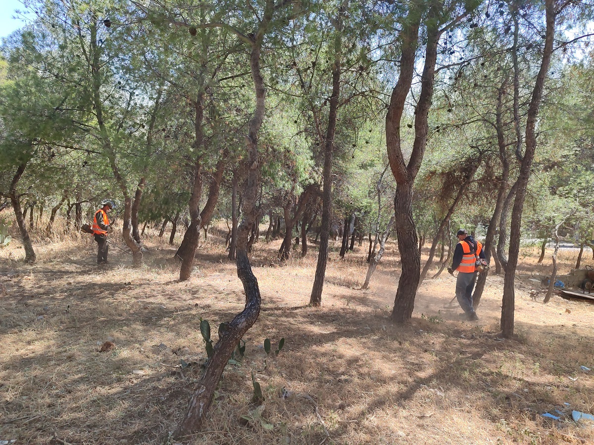  Καθαρισμός και αποψίλωση οικοπέδων και δασικών εκτάσεων στις παρυφές του Ποικίλου Όρους