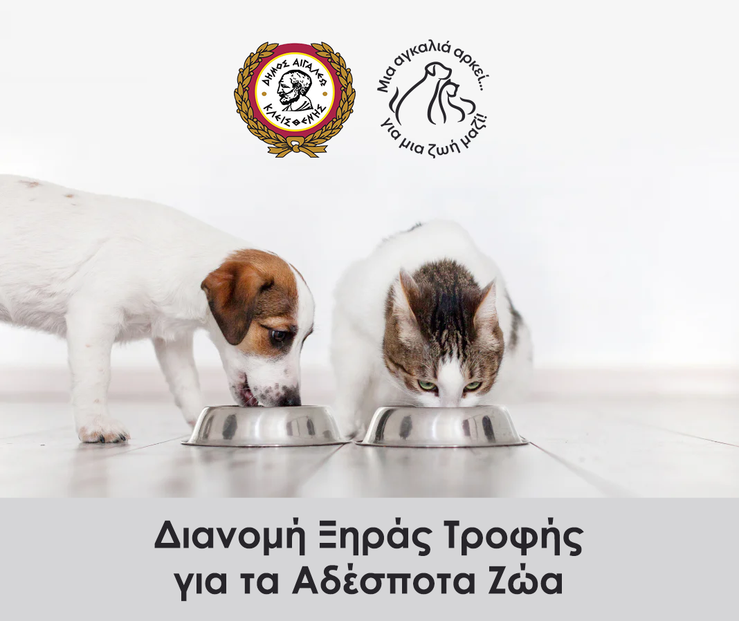 Ο Δήμος Αιγάλεω προσφέρει τροφή για τα αδέσποτα ζώα της πόλης