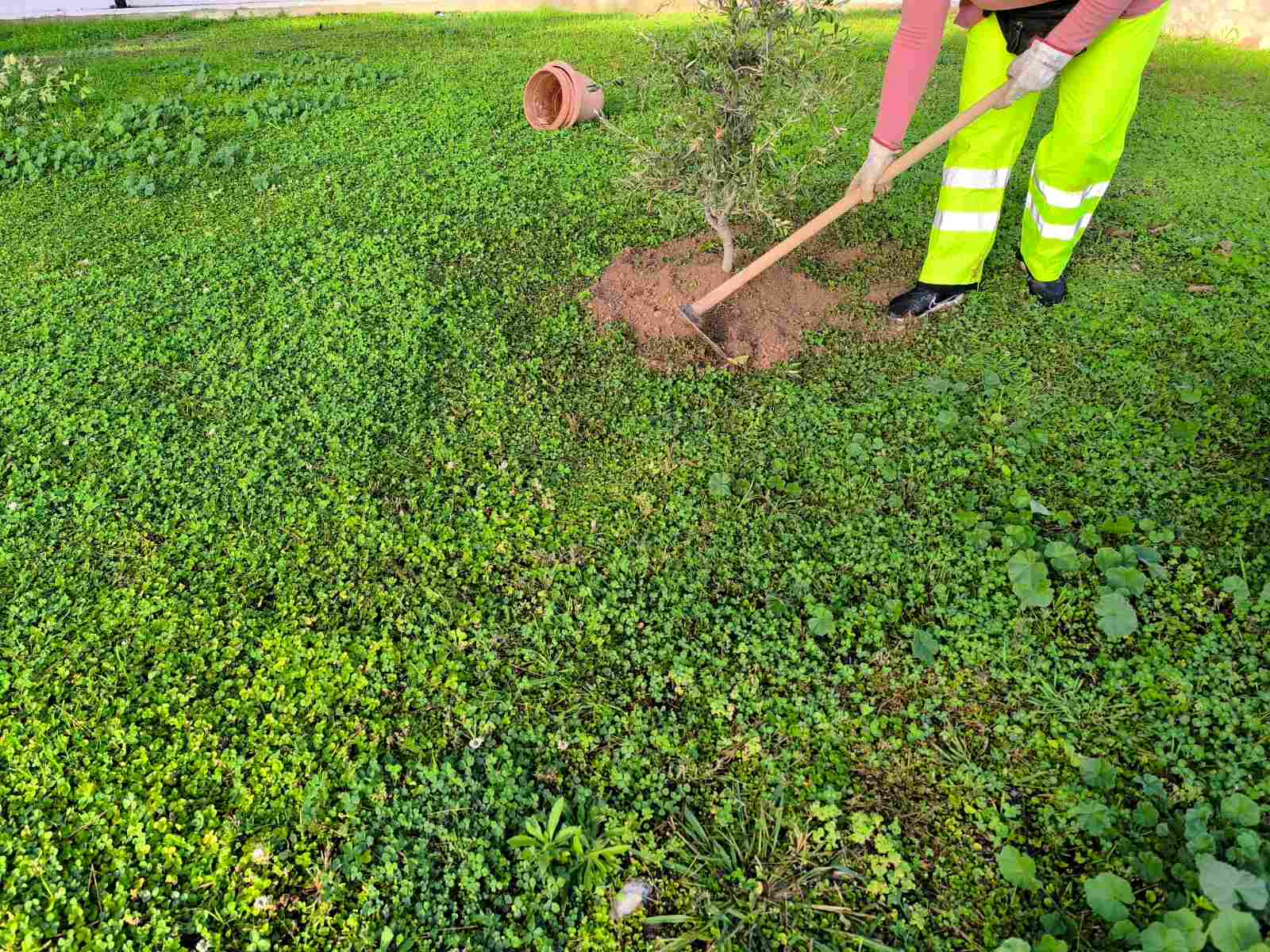 Δήμος Χαϊδαρίου - Δενδροφύτευση στο Παλατάκι