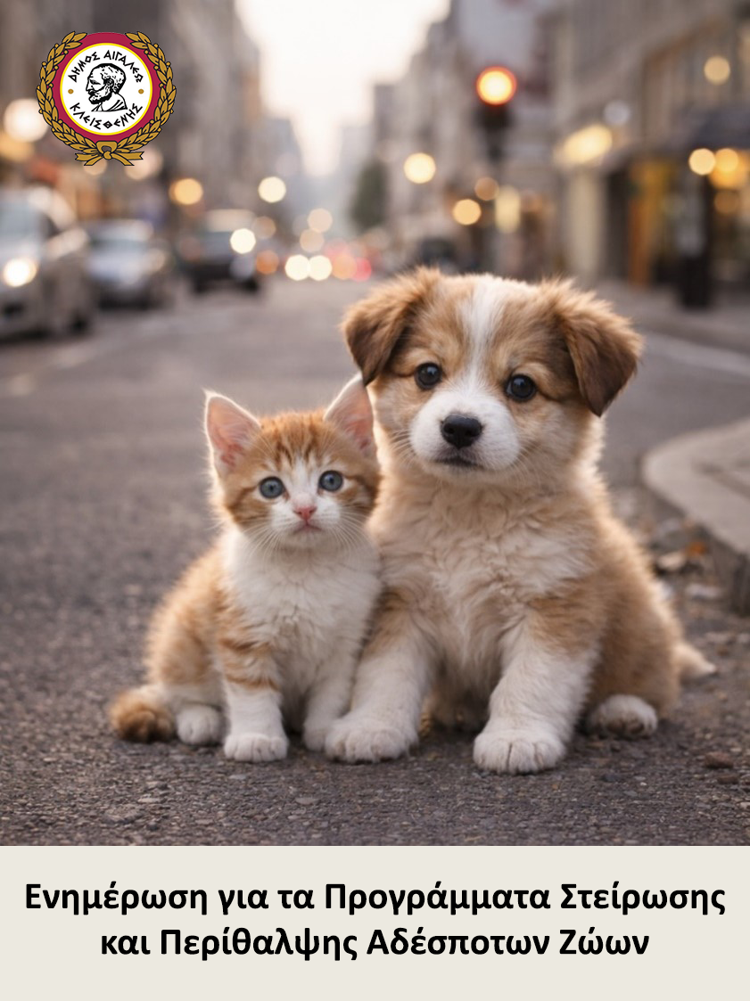  Τέθηκαν σε εφαρμογή τα προγράμματα στείρωσης και περίθαλψης αδέσποτων ζώων του Δήμου Αιγάλεω