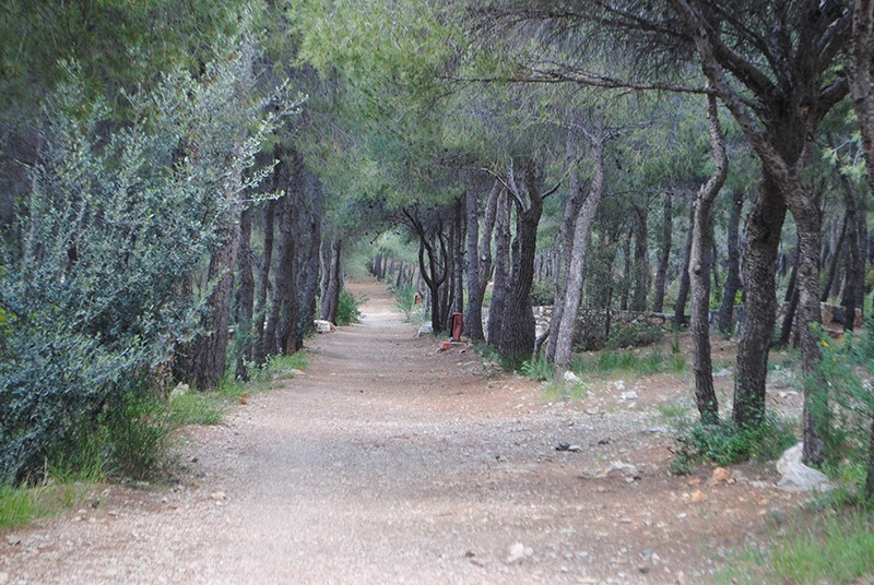 Κλειστό την Τετάρτη (22/7) για το κοινό το άλσος Πετρούπολης, με απόφαση του Αντιπεριφερειάρχη