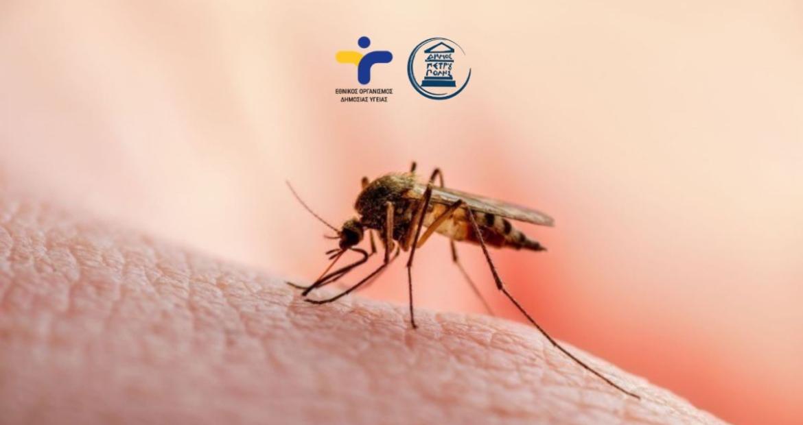 Ενημέρωση σχετικά με επιβεβαιωμένο κρούσμα ιού του Δυτικού Νείλου και μέτρα πρόληψης και προστασίας στον Δήμο Πετρούπολης