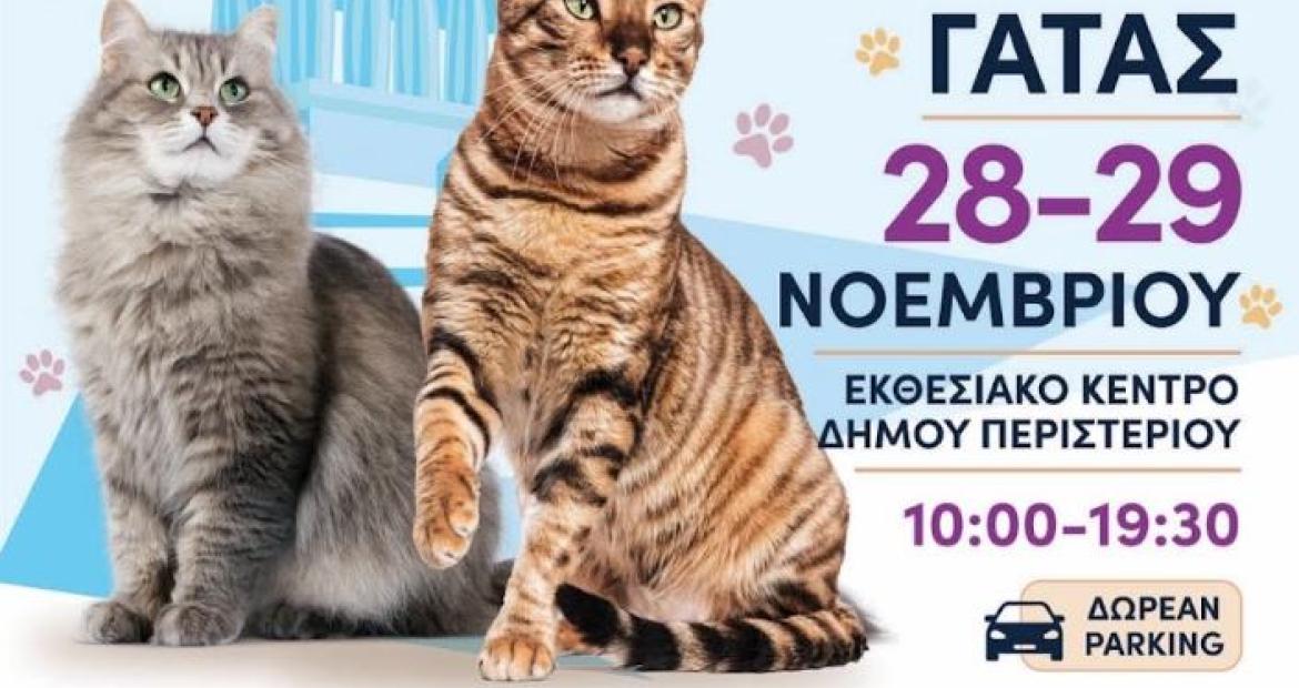 CAT EXPO Greece 2026 – Η μεγάλη διεθνής γιορτή της γάτας στο Περιστέρι