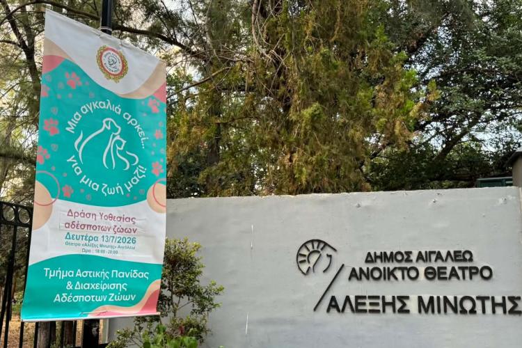 Με μεγάλη ανταπόκριση η δράση υιοθεσίας αδέσποτων ζώων στο πλαίσιο της Πολιτιστικής Διαδρομής 2026