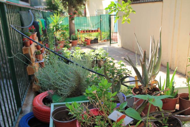 Αποτελέσματα Διαγωνισμού «Όλη η πόλη, ένας κήπος» του Δήμου Περιστερίου