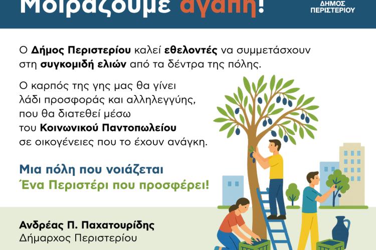 Κάλεσμα του Δήμου Περιστερίου σε εθελοντές για τη συγκομιδή ελιών