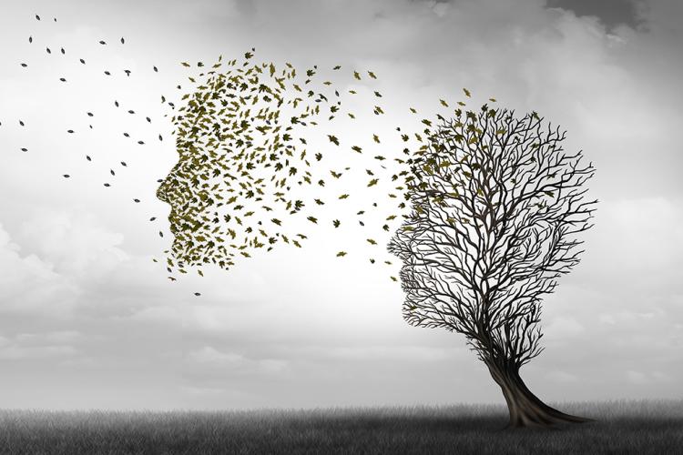 Πολεμώντας την Άνοια, Αιγάλεω, Πετρούπολη, άνοια, σταθμοί άνοιας, συμβουλευτικό κέντρο, βοήθεια 