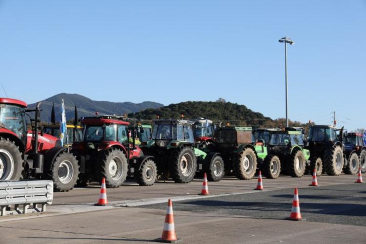 Μαρία Συρεγγέλα: "Διαχρονικά αιτήματα των αγροτών από αυτήν την Κυβέρνηση έχουν ικανοποιηθεί"