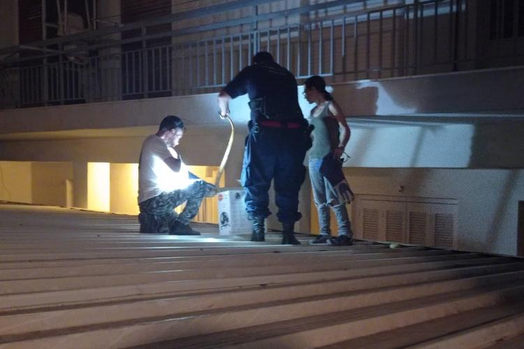 φίδι, Πετρούπολη 