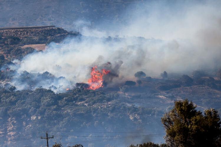 Μάχη για την αντιμετώπιση 73 πυρκαγιών σε όλη τη χώρα - Οι δυσκολότερες σε Ξηρονομή και Καλαμάκι Βοιωτίας