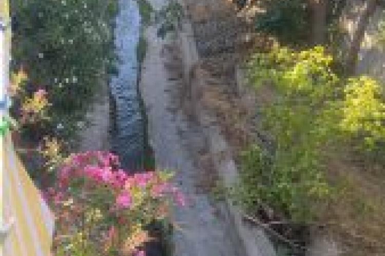  Πρόγραμμα  εφαρμογής ψεκασμών προνυμφοκτονίας στο  «Χαϊδαρόρεμα»