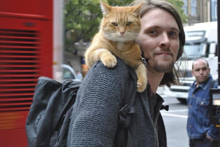 Ένας άστεγος, ένας γάτος και μία νέα αρχή- Μία ιστορία ζωής που αξίζει να διαβαστεί. 