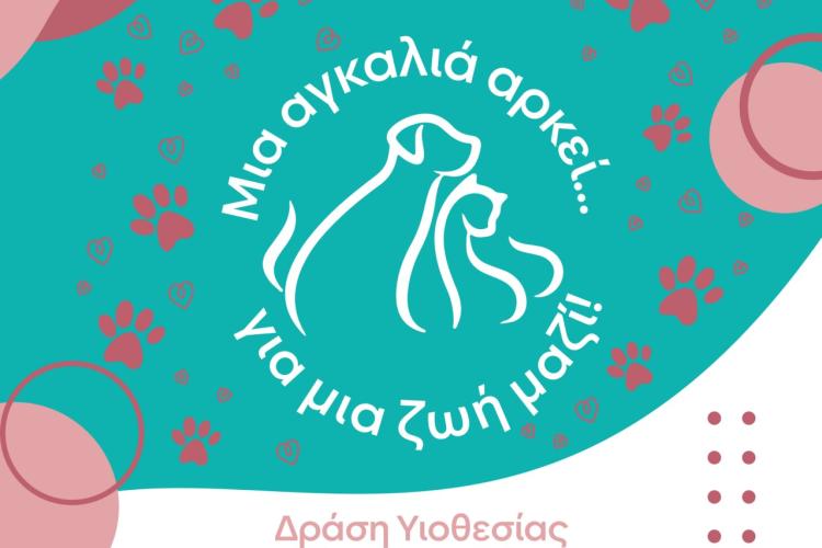Δράση Υιοθεσίας Αδέσποτων Ζώων στο πλαίσιο της Πολιτιστικής Διαδρομής 2026, Αιγάλεω, κοινωνική δράση