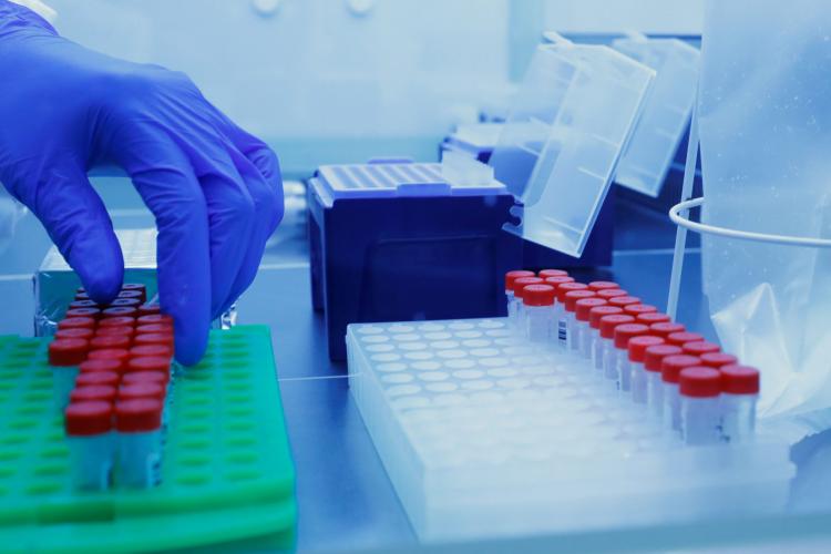 καρκίνος, θεραπεία, έρευνα 