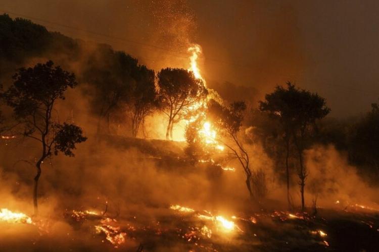 Καίγεται η Πάρνηθα: Επικίνδυνος ο αέρας λόγω σωματιδίων- Από τις πιο επιβαρυμένες περιοχές η Πετρούπολη