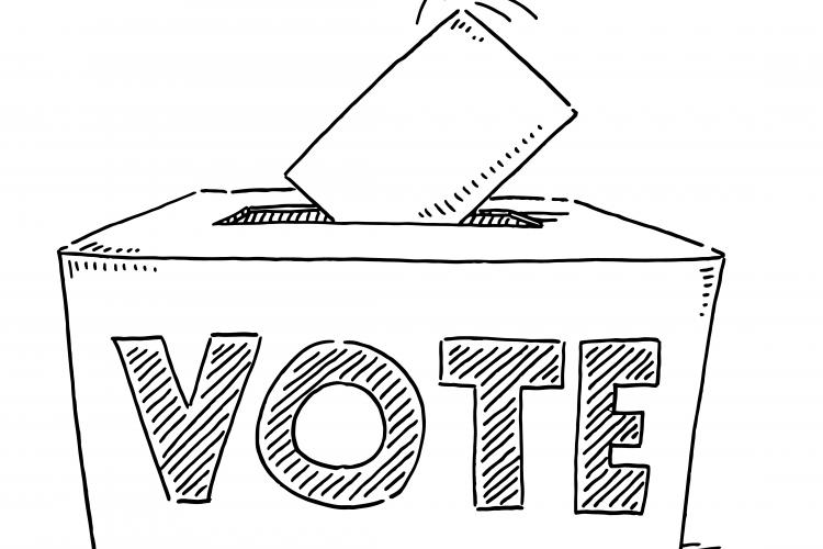 Idiots, ψηφοφόροι και η αποχή από…άποψη