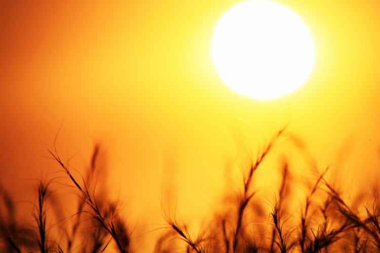  Το φετινό καλοκαίρι ήταν το τρίτο θερμότερο εδώ και 65 χρόνια 