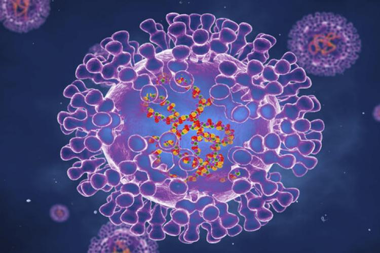 ευλογιά των πιθήκων