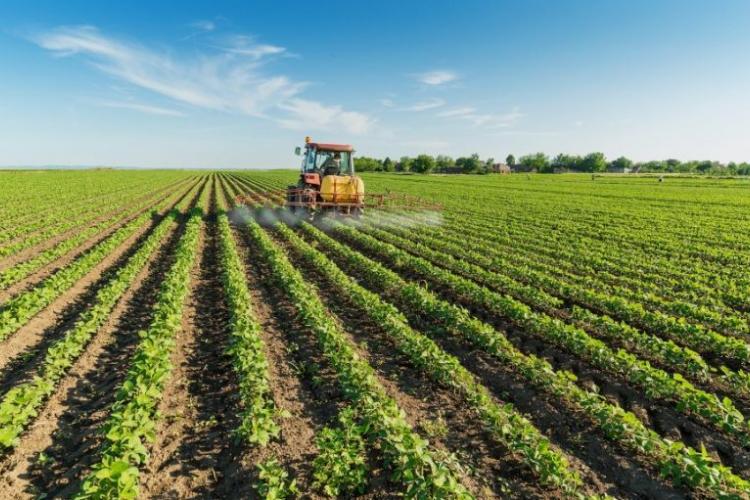 Ανδρέας Βορύλλας: Έτσι ο πρωτογενής τομέας μπορεί να γίνει εφαλτήριο οικονομικής ανάπτυξης