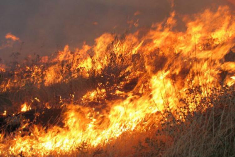 φωτιά, Ηλεία