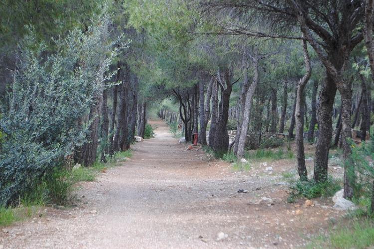 Κλειστό την Τετάρτη (22/7) για το κοινό το άλσος Πετρούπολης, με απόφαση του Αντιπεριφερειάρχη