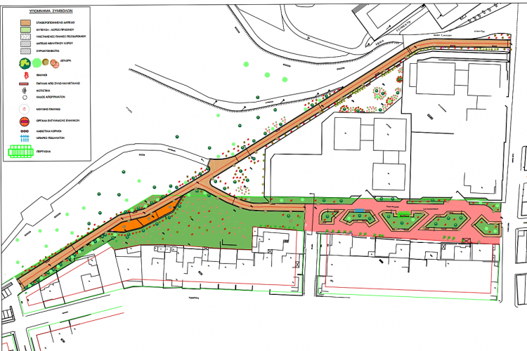 Άλσος Αγίου Δημητρίου, Πετρούπολη, ανάπλαση 